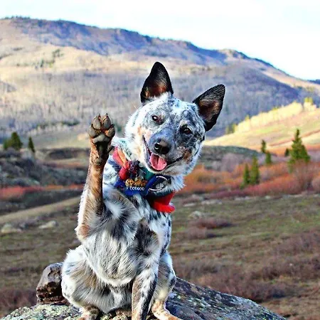 Philoxenia 3* Cavala