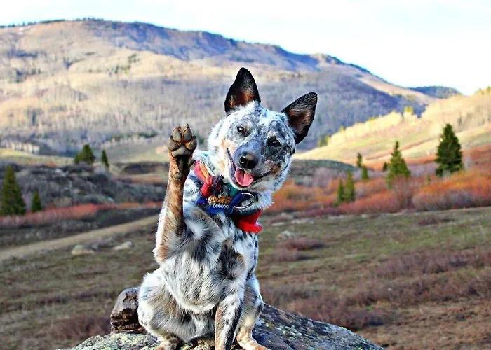 Philoxenia 3* Kavala